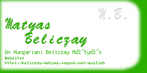 matyas beliczay business card